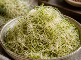 Alfalfa