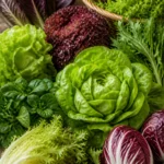 Blattsalat Blattsalat