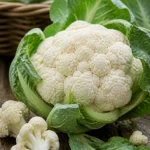 Blumenkohl