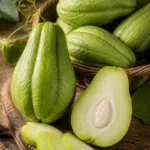 Chayote Chayote