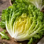Endivien (Frisée und Eskariol) Endivien (Frisée und Eskariol)