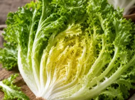 Endivien (Frisée und Eskariol)