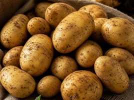 Kartoffeln