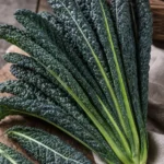Palmkohl Palmkohl