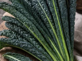 Palmkohl