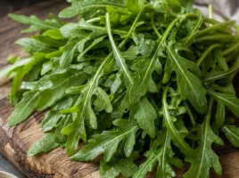 Rucola