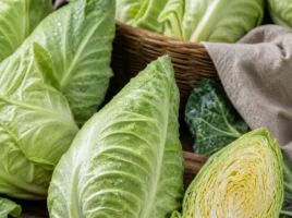 Spitzkohl