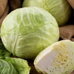 Weißkohl Weißkohl